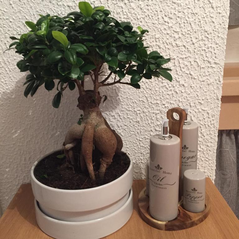 Appartamento Annamaria 奥斯图尼 客房 照片